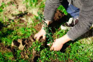 Jornada de Restauración Ecológica