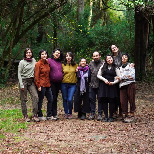 https://fundacionelarbol.cl/wp-content/uploads/2025/05/DSC04555-scaled-e1748963869659-640x640.jpg