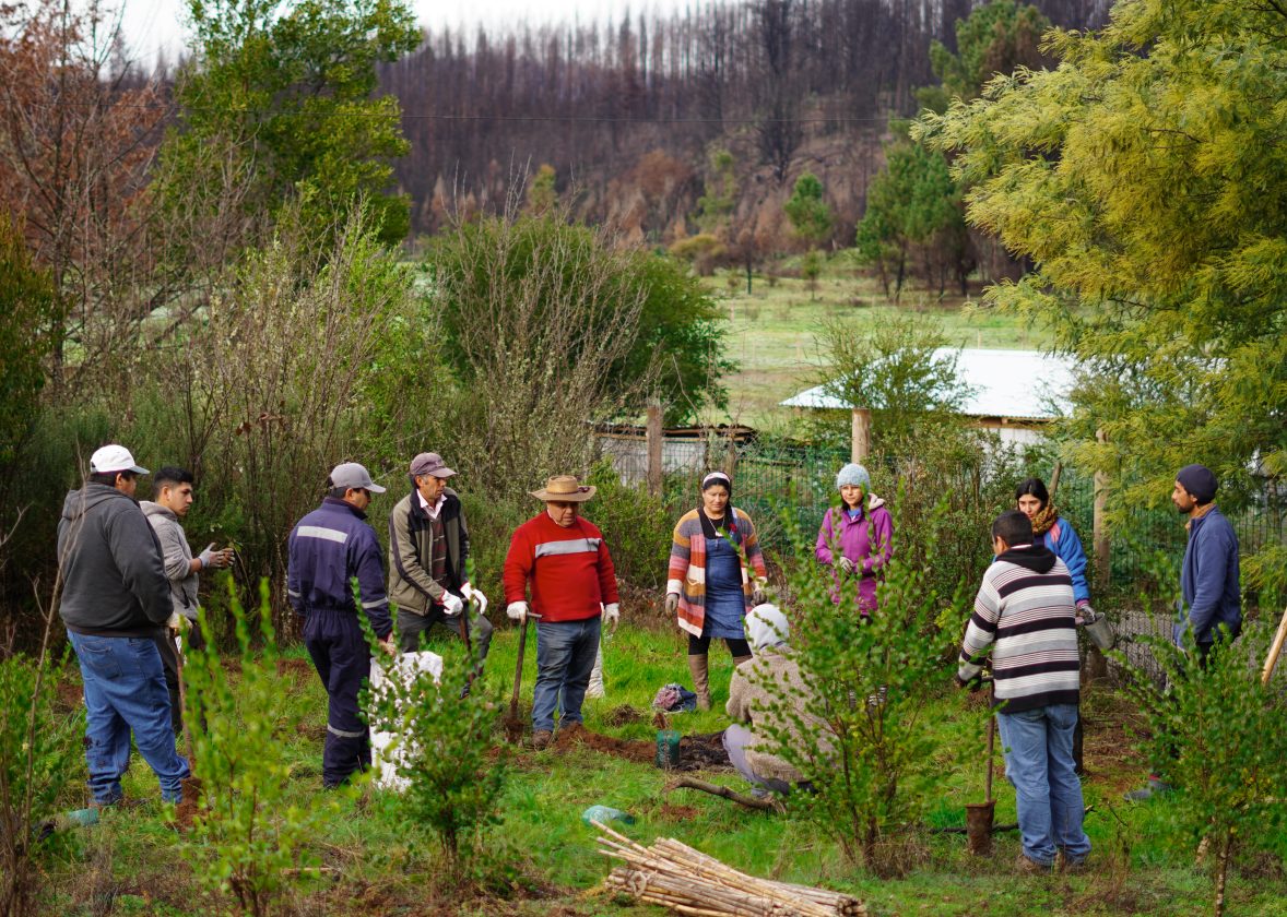 Comunidades del Biobío se organizan para enfrentar el cambio climático con soluciones basadas en la naturaleza