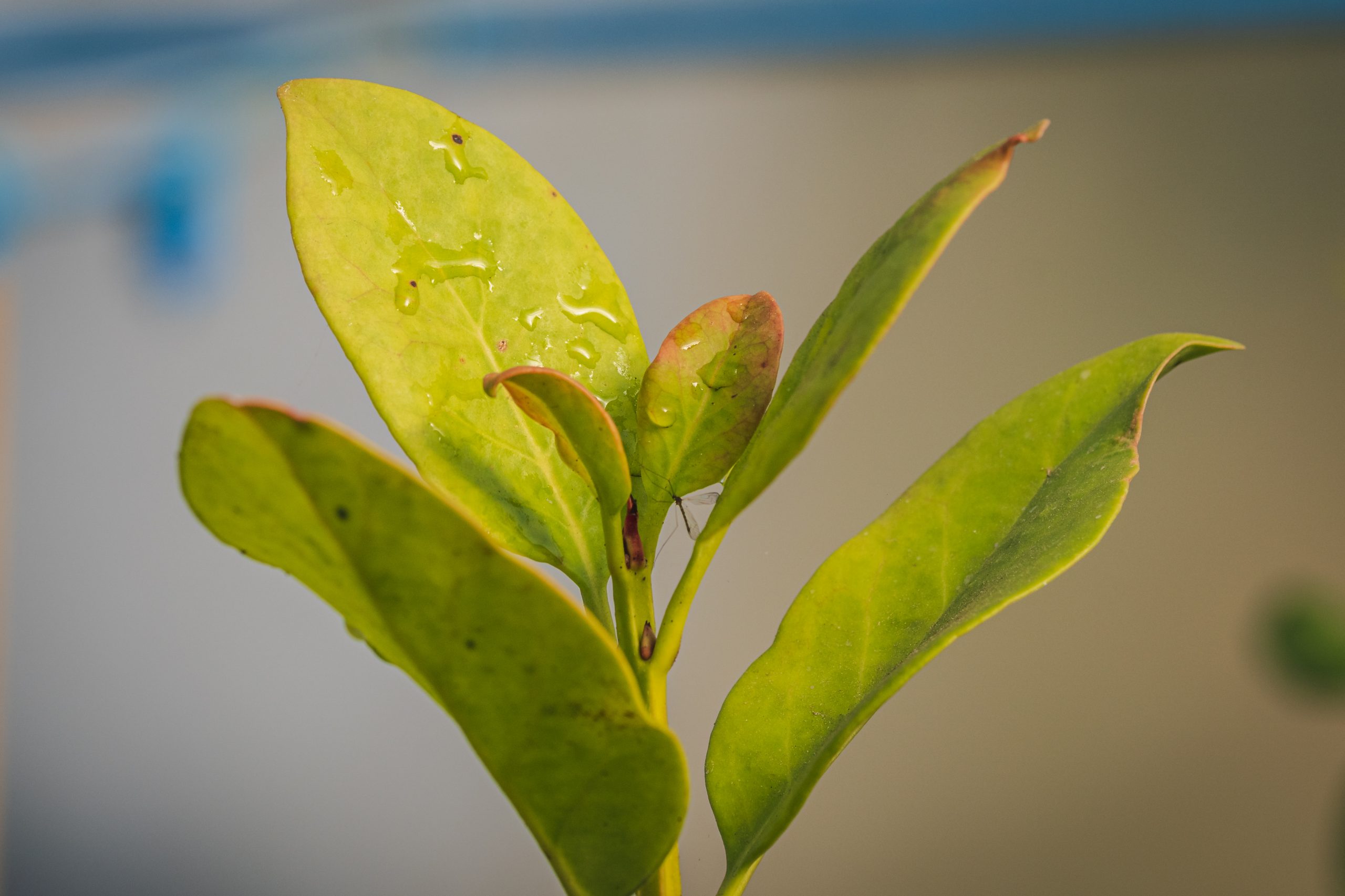 https://fundacionelarbol.cl/wp-content/uploads/2025/06/J03_2-scaled.jpg